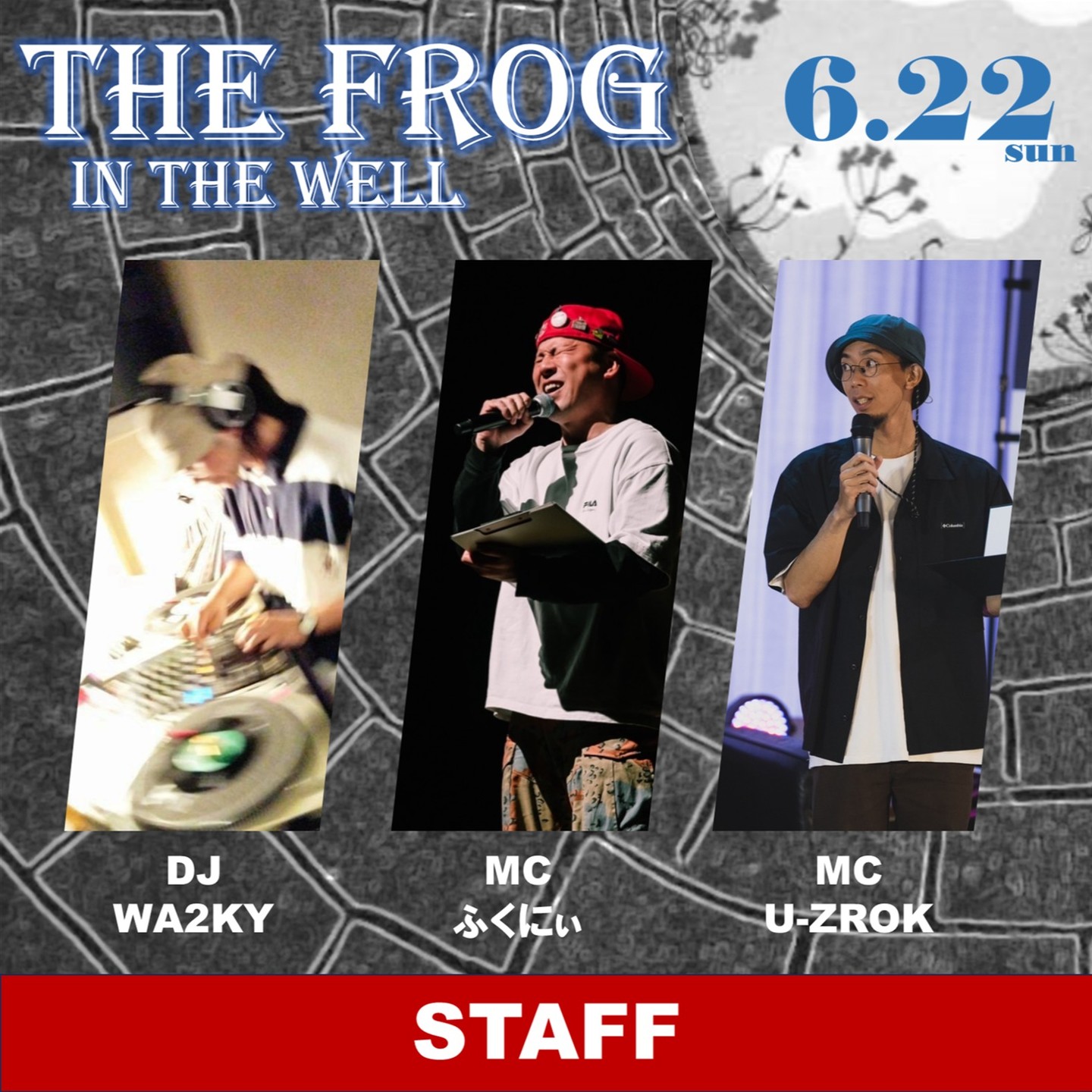 THE FROG IN THE WELL
