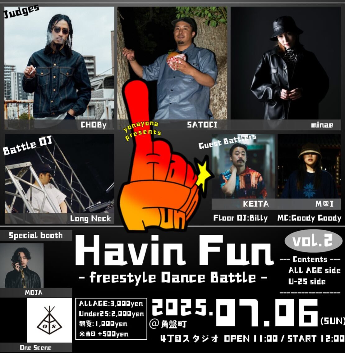 Havin Fun Vol.2