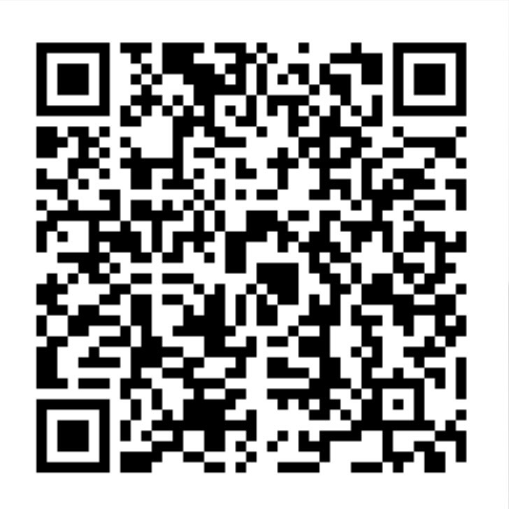 BOOGIE TRAIN GUEST " HARUKI " WS